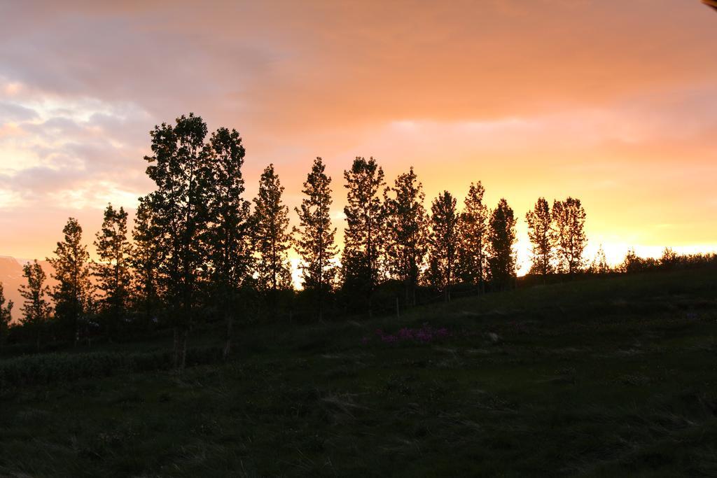 Akureyri Log Cottage Екстериор снимка